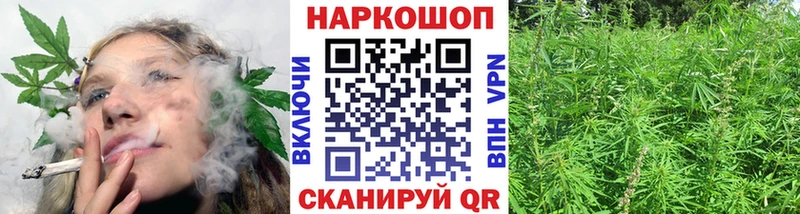 Цена Долгопрудный Псилоцибиновые грибы А ПВП Гашиш Меф COCAIN