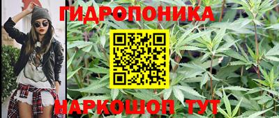 шишки Моздок