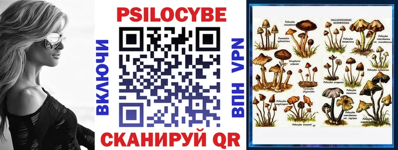 где можно купить   Долгопрудный  маркетплейс телеграм  Галлюциногенные грибы мухоморы 