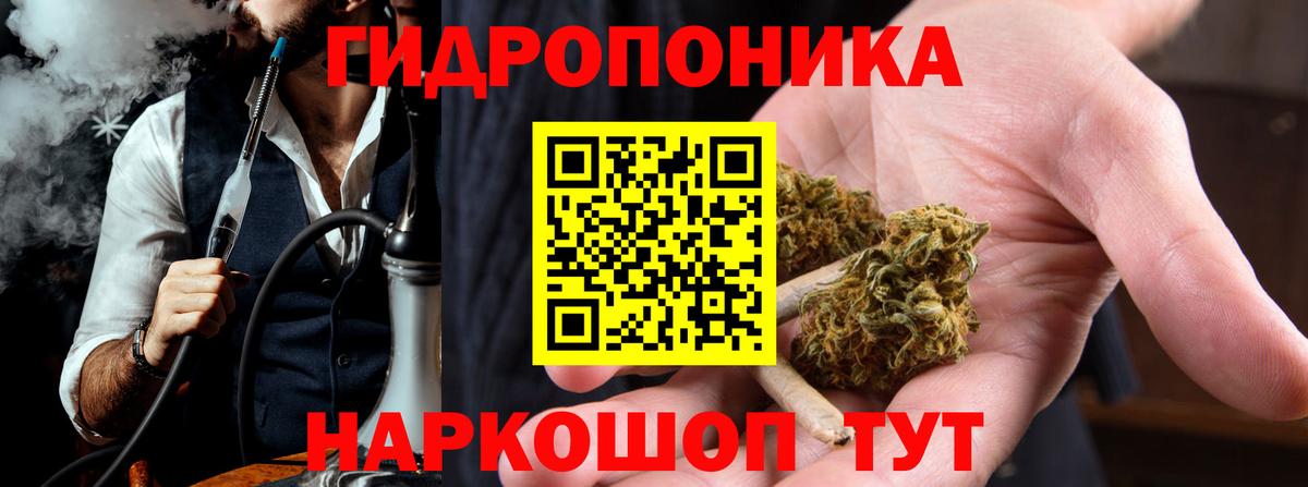 Конопля гибрид Долгопрудный
